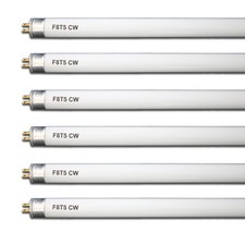 F8T5 CW 12 Inch T5 Fluorescent Light Bulbs 8W Cool White G5 Base 6 Pack