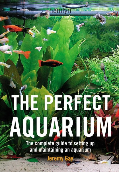 Jeremy Gay | The Perfect Aquarium | Taschenbuch | Englisch (2005)-image