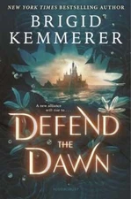 Defend the Dawn by Brigid Kemmerer: Used