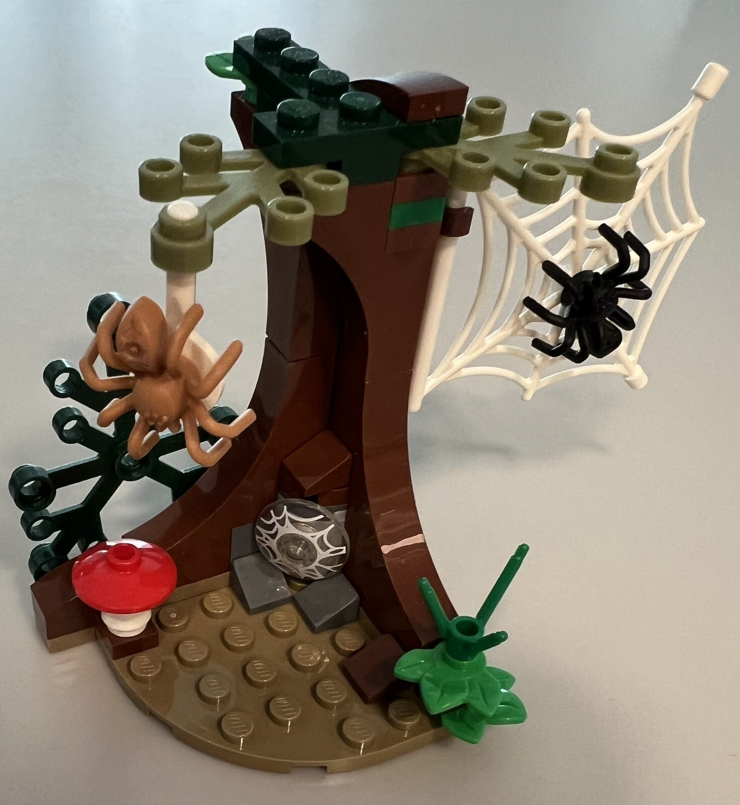 Picture 10 of 20