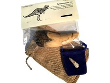 Tyrannosaurus Rex Tooth Replica - T-Rex - Plus Genuine Fossil Spinosaurus Din...