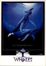 1997 Humpback Whales IMAX MD Science Center Baltimore Wyland Go Card Postcard