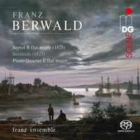 Audio Cd - Franz Berwald - Chamber Music - Mdg -D- Neu