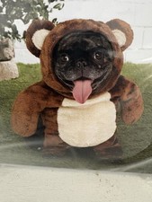 Teddy Bear Dog Costume NEW NIB Asland XS/TP
