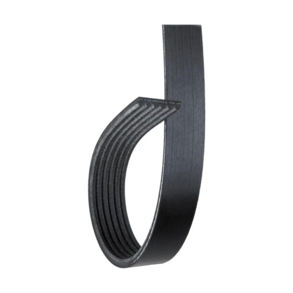 Cinturón Serpentine ACDelco Original Para Ram Dakota 2011 | Negro | 6 Costillas | 88932776 Foto 2 de 4