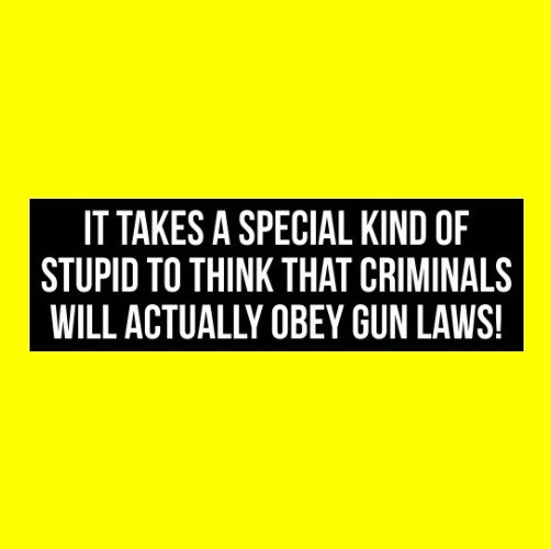 Gun Rights Bumper Sticker