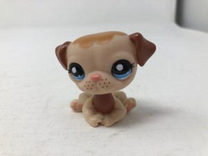 lps pug