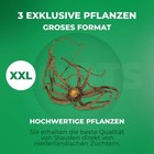 Bild 5 von 8