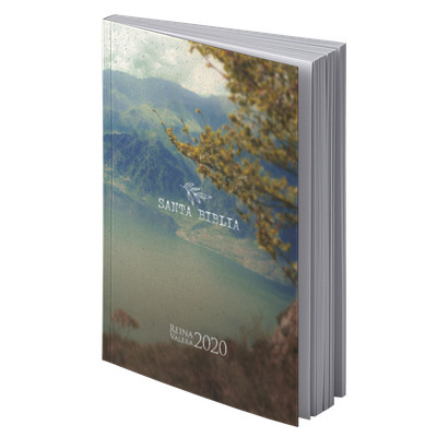 Biblia RVR 2020 Letra Grande La Creaci�n R�stica