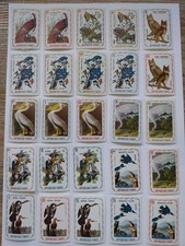 timbres haiti n 4 oiseaux exotiques audubon neuf lot de 38 timbres