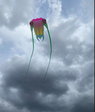 Hot 16sqm soft kite 3D Huge Soft Giant Trilobites Kite Outdoor Sport Easy to Fly