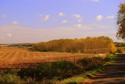 Foto 6x4 Blick nach Osten entlang Harley Drive, bei Brigstock eine Reihe von M zu finden c2008