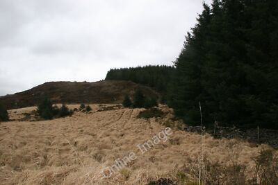 Foto 6x4 Ausbruch aus dem Wald Glandyfi Ein Bruch in den Bäumen bei Brw c2010