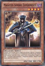 Yu-Gi-Oh: Experienced Dark Wizard | YSYR-FR013 | Commune | NM | FR