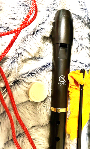 Peripole Angel Soprano Recorder Halo PB 6000 Baroque Fingering & carry case ++ - Picture 2 of 4