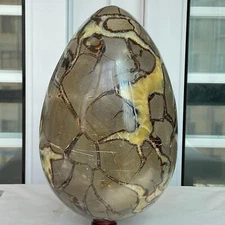 11700G Natural Turtle Back Stone Egg Shape Dragon Crystal Crack healing