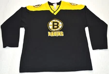 Boston Bruins hockey jersey shirt size Youth L 16-18 Vintage  Mighty Mac Sports