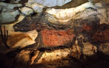 Beasts   Lascaux Cave Painting Ancient Bull A...