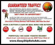 Targeted Sales Leads - MLM Leads - Home Business - Biz-Op Buyer Leads - Leads