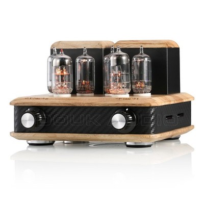 Röhrenverstärker HiFi Stereo Verstärker 6N3 GE5686 Push-Pull Audio Desktop Amp