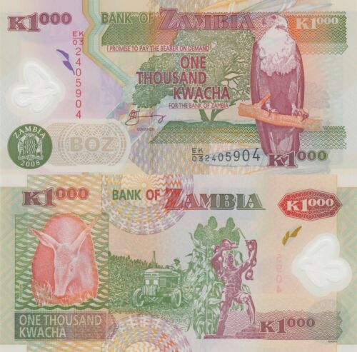 Zambia 1000 Kwacha (2008) - Polymer/Eagle/Aardvark/p44f UNC - Picture 1 of 3