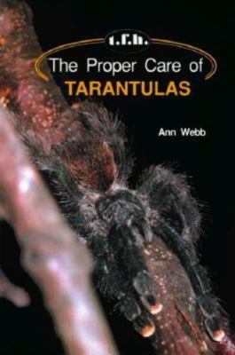 The Proper Care of Tarantulas by Ann Webb
