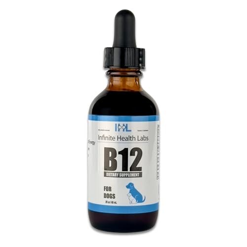 b12 injections seizures Vitamin B12 Injection For Dogs: The Complete FAQ Guide In 2025 – AIPAK  ENGINEERING