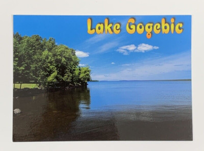 Lake Gogebic Largest Lake in Michigans Upper Peninsula Postcard Unposted