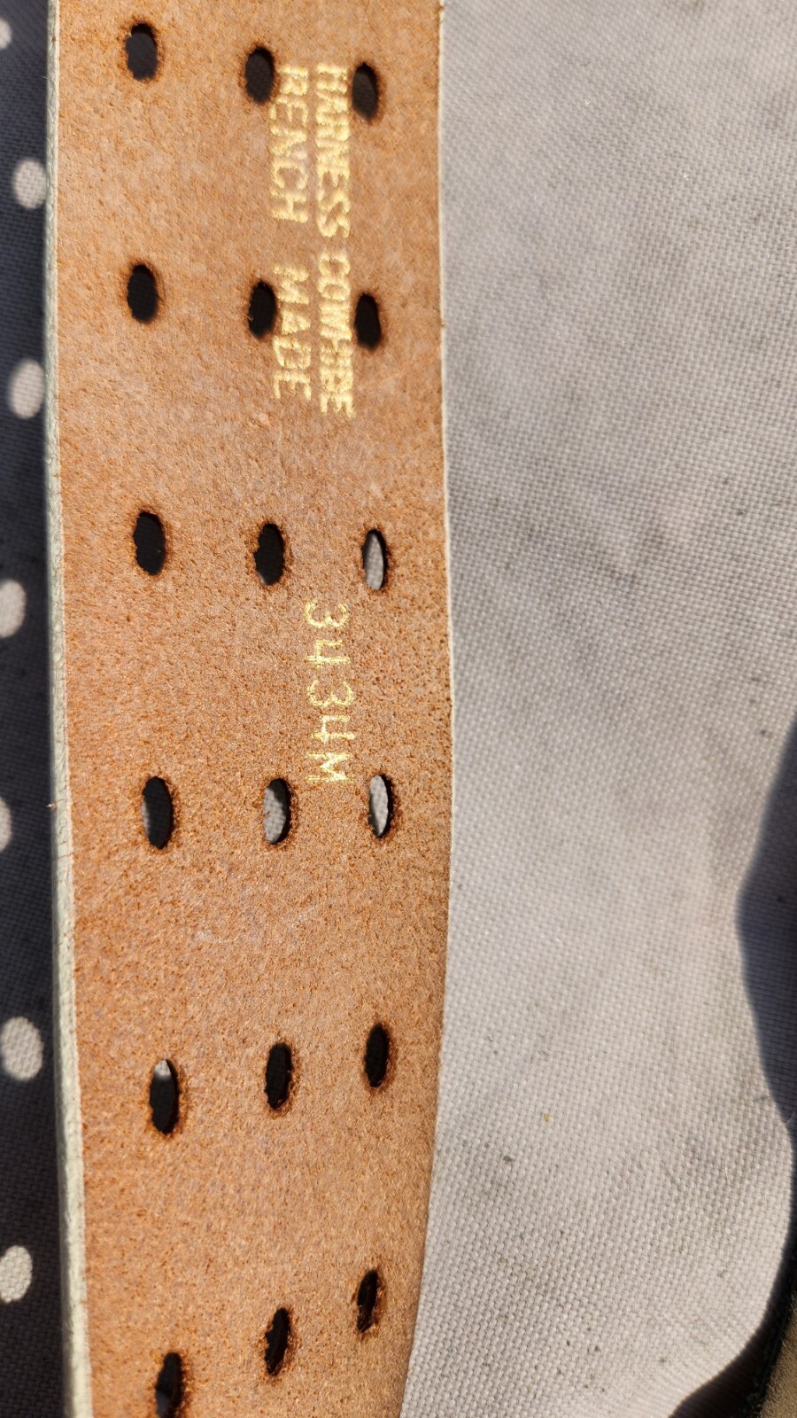 Picture 8 of 10