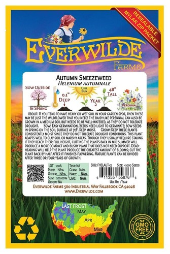 1000 Autumn Sneezeweed Wildflower Seeds - Everwilde Farms Mylar Seed Packet - Picture 2 of 3