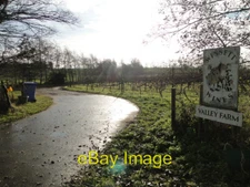 Photo 6x4 Valley Farm, Wissett Chediston Green In the background are vine c2010