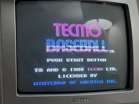 Tecmo Bowl & Tecmo Baseball NES Nintendo Game - Cartridge, Manuals & Sleeves