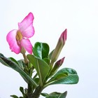 Bild 9 von 11