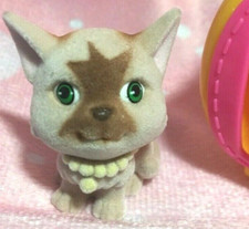 Kitty In My Pocket Tan Emmy American Burmese Cat Series 4 Blind Bag Figure 1.5"