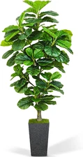 Artificial Fiddle Leaf Fig Tree 6Ft, 6 Feet Large Tall Fake Plants Indoor with M
