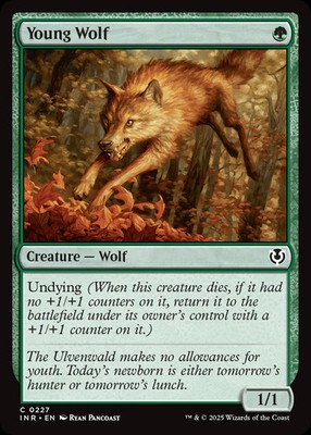Young Wolf [Innistrad Remastered] Foil Near Mint