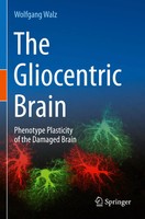 The Gliocentric Brain Phenotype Plasticity Of The Damaged Brain Wolfgang Walz Ix