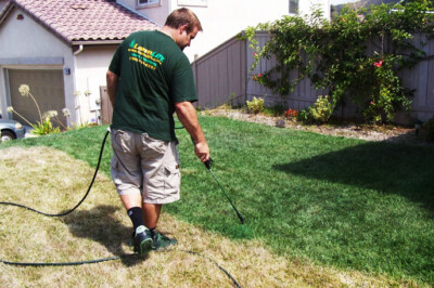 Lawnlift Grass Paint super concentrate 128 ounce covers up to 2,000 sq. feet