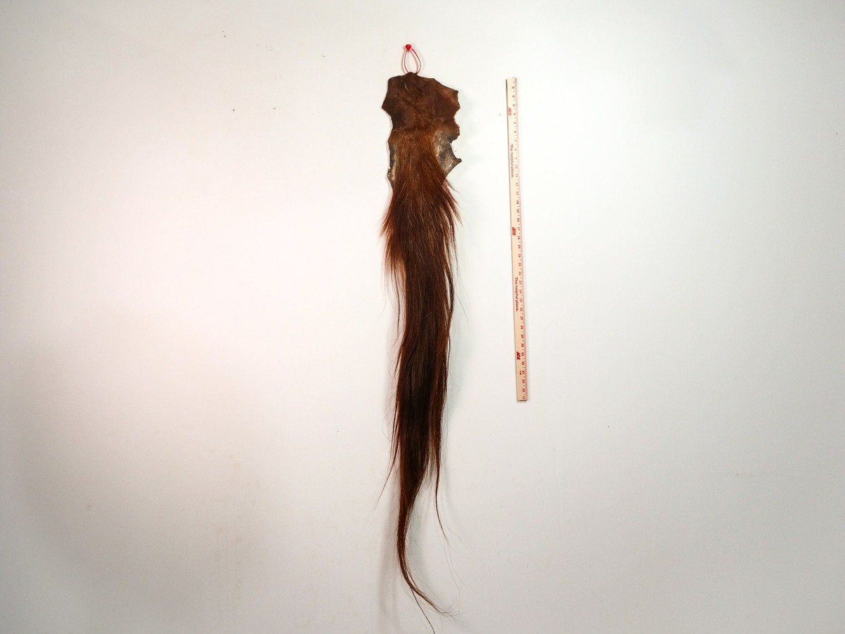 Soft Tanned Real Horse Tail (18-06T-G4388) Y1K | eBay