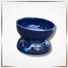 Cat Bowl Ceramic Raised Tilted Elevated Cat Food Dish Porcelain BIG BLUE