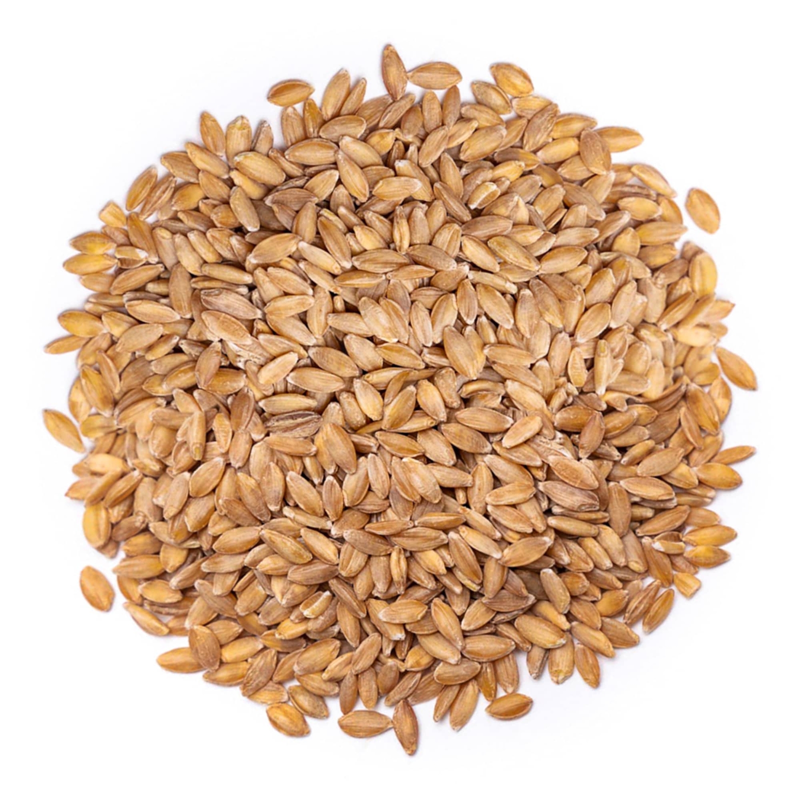 Organic Einkorn Wheat Berries NonGMO Whole Grain. Farro Piccolo in