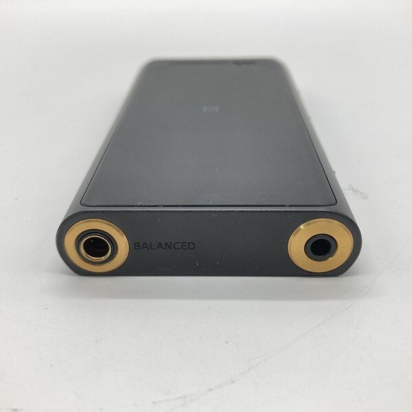 SONY Walkman NW-ZX507 64GB ZX Hi-Res Portable Audio Player