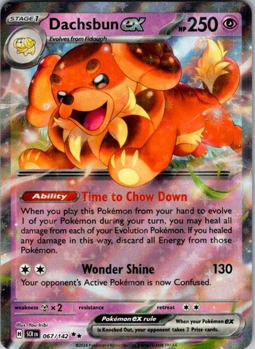 Dachsbun ex 067/142 Stellar Crown Double Rare Holo NM Pokemon TCG