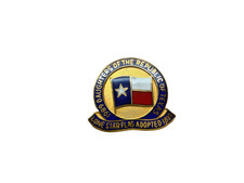 DAUGHTERS OF THE REPUBLIC OF TEXAS PIN LONE STAR FLAG ADOPTED 1839 EXCELLENT CND