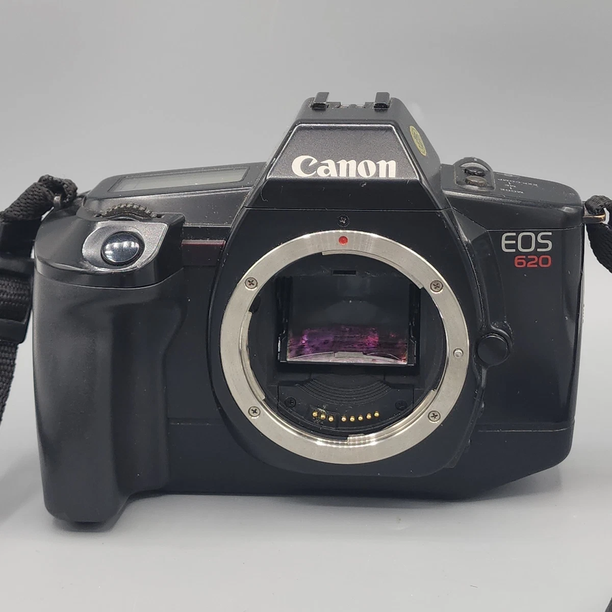 Canon EOS 620 一眼レフカメラ Canon Eos 620 for sale | eBay