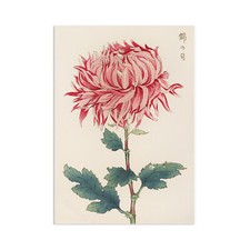 Japanese Ukiyo-e Art Print Poster Woodblock Wall  Keika Hasegawa Chrysanthemum