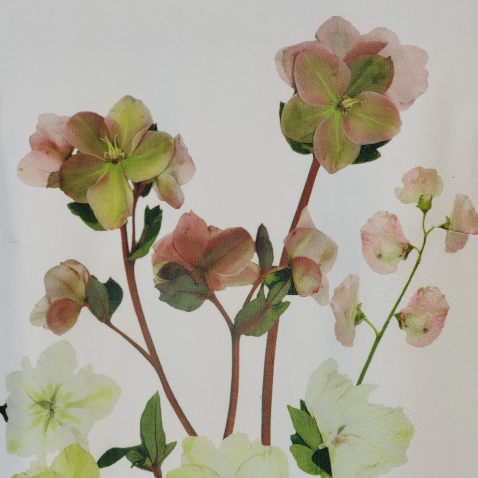 Victoria Beckham for Target Girls 连衣裙 L 象牙色 水彩 花 缎面 荷叶边 — 第 3/4 张图片