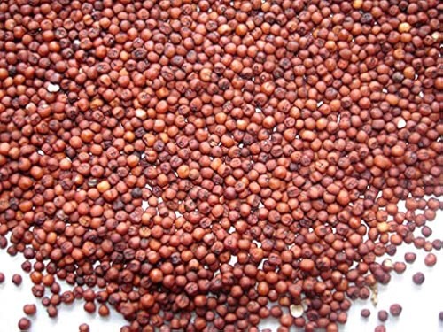 Ragi Seeds Finger Millet Whole Red - 1kg 2kg 5kg 10kg 15kg 20kg 30kg 40kg Bulk - Picture 2 of 3