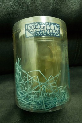 JAR OF PUS PUSHEAD ジャー オブ パス 2001 FEWTURE MODELS JAR
