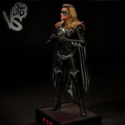 Batgirl 3D Print Model Kit Unpainted Unassembled 1/12 1/10 1/8 1/6 1/4 1/3